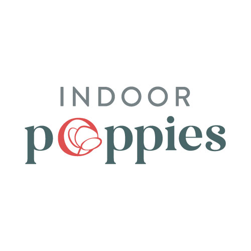 Indoor Poppies